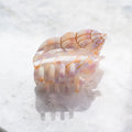 Seashell Medium Hair Clip
