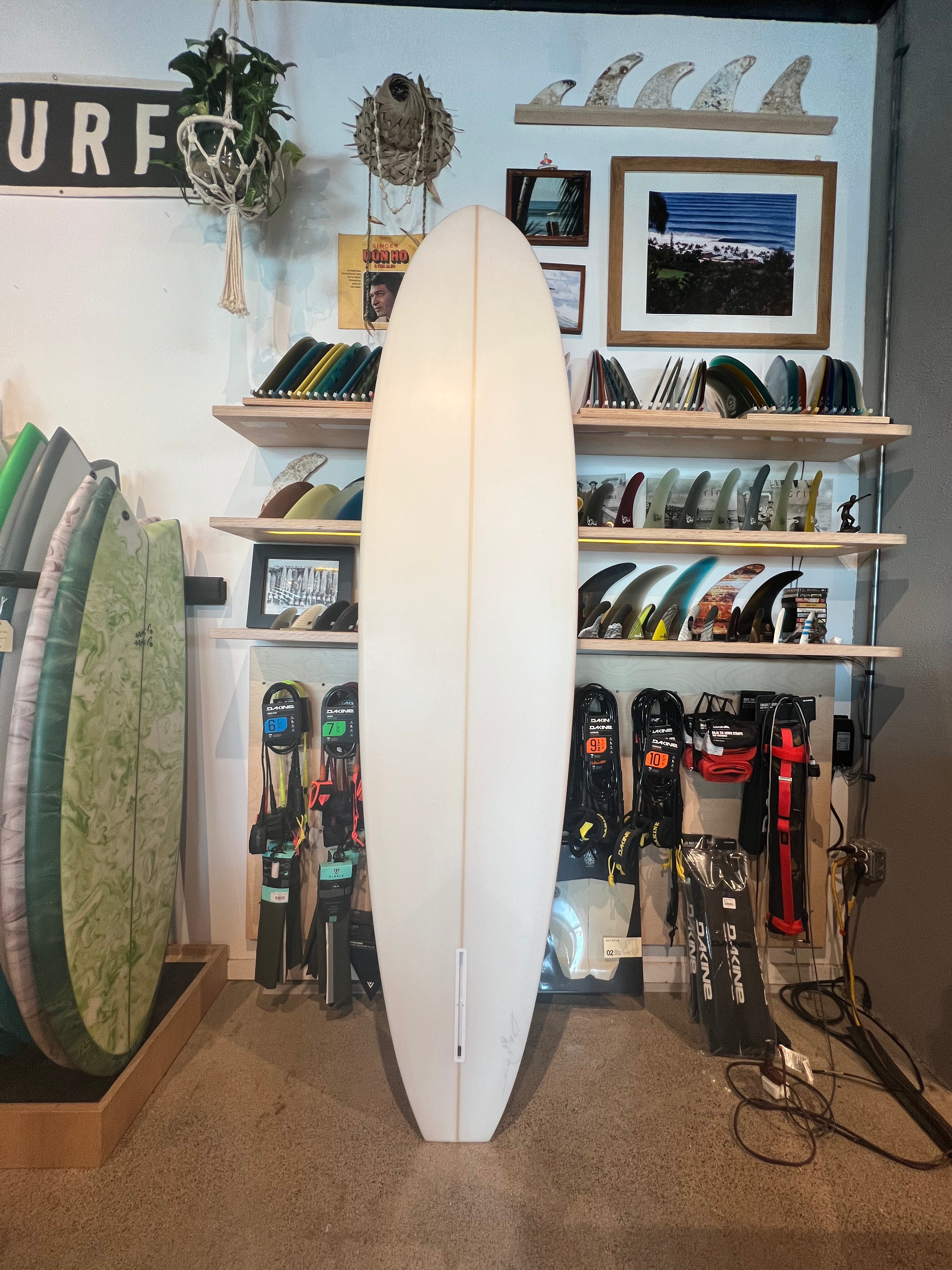 Bushman 8'5 Single Fin