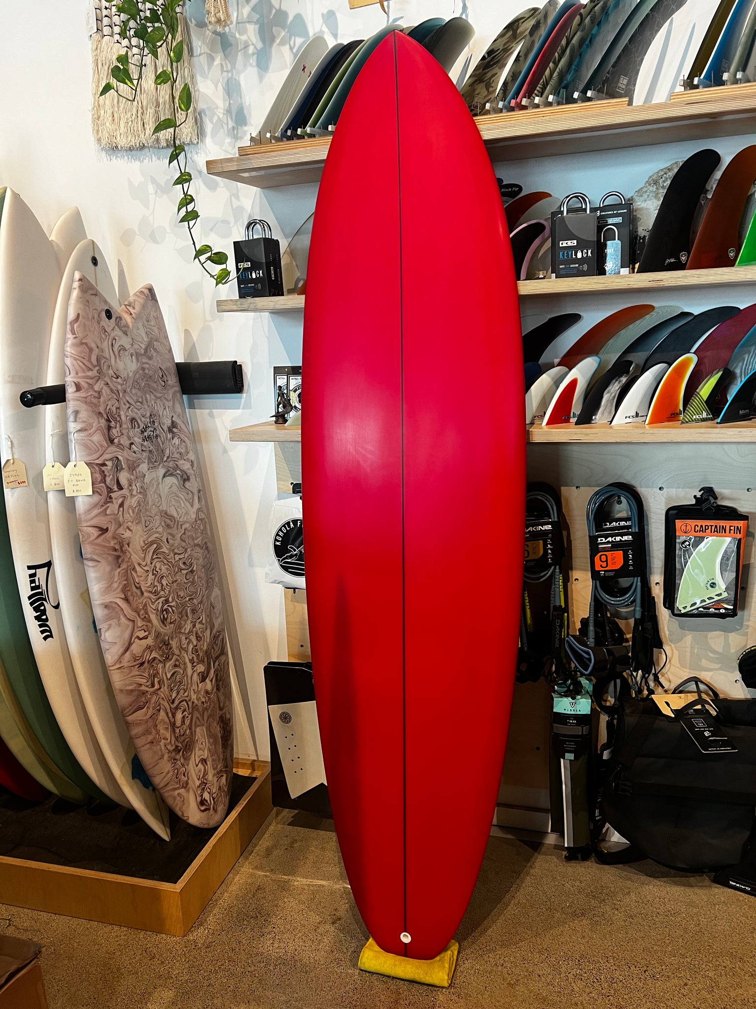 Lovemachine (Ryan Lovelace) FM 6'9 Cherry