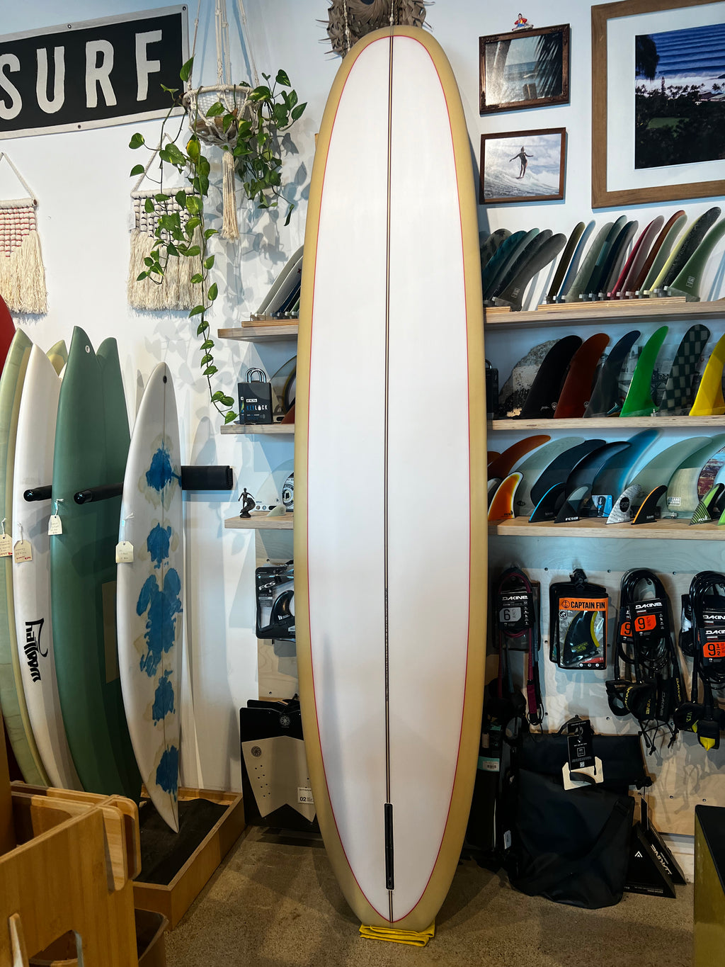 Bra Bra Surf 9'2 Single Fin Beige