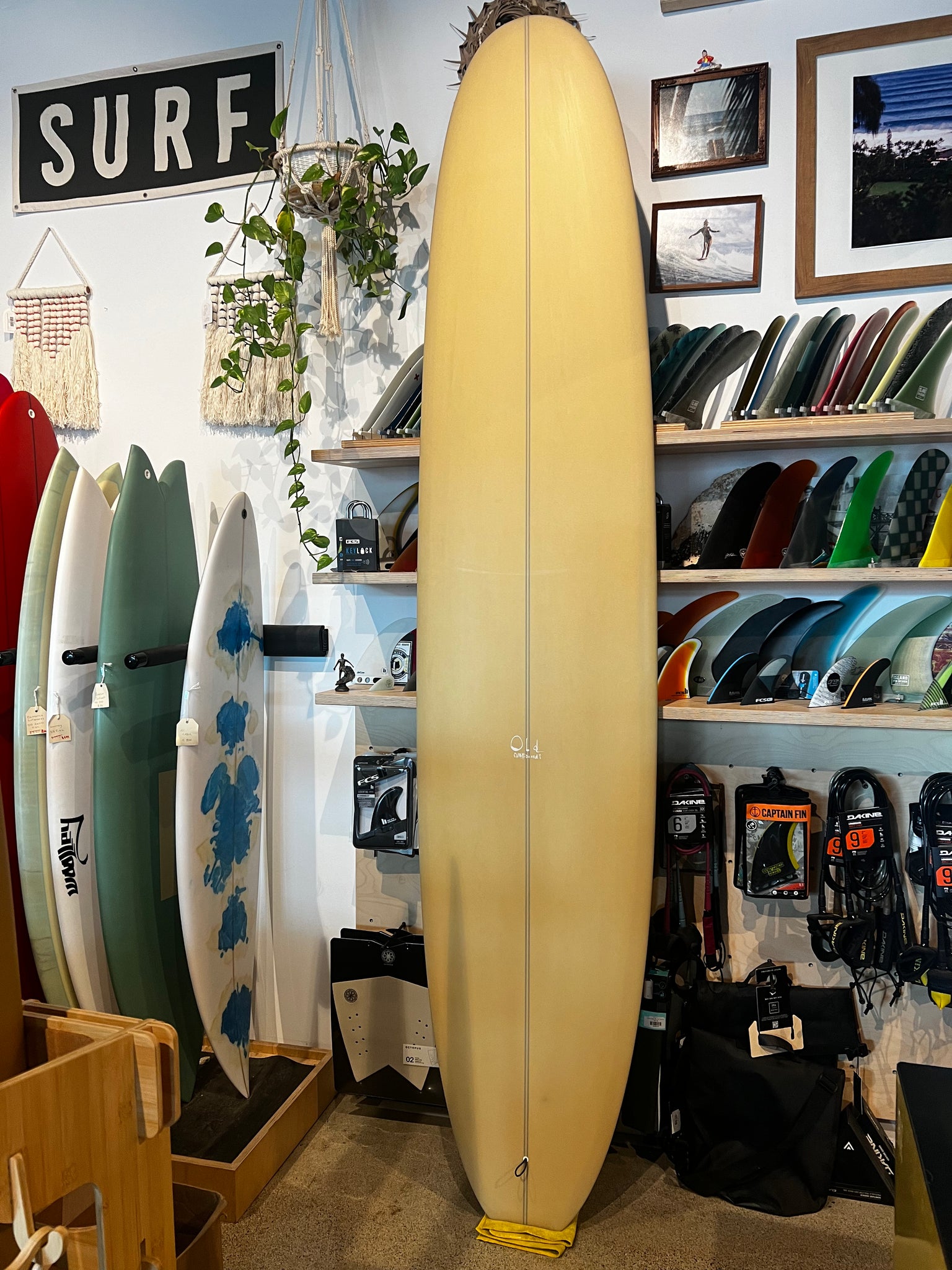 Bra Bra Surf 9'2 Single Fin Biege
