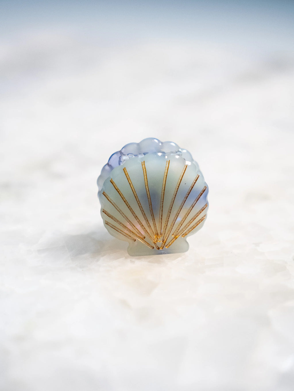 Mini Scallop Shell Hair Clip