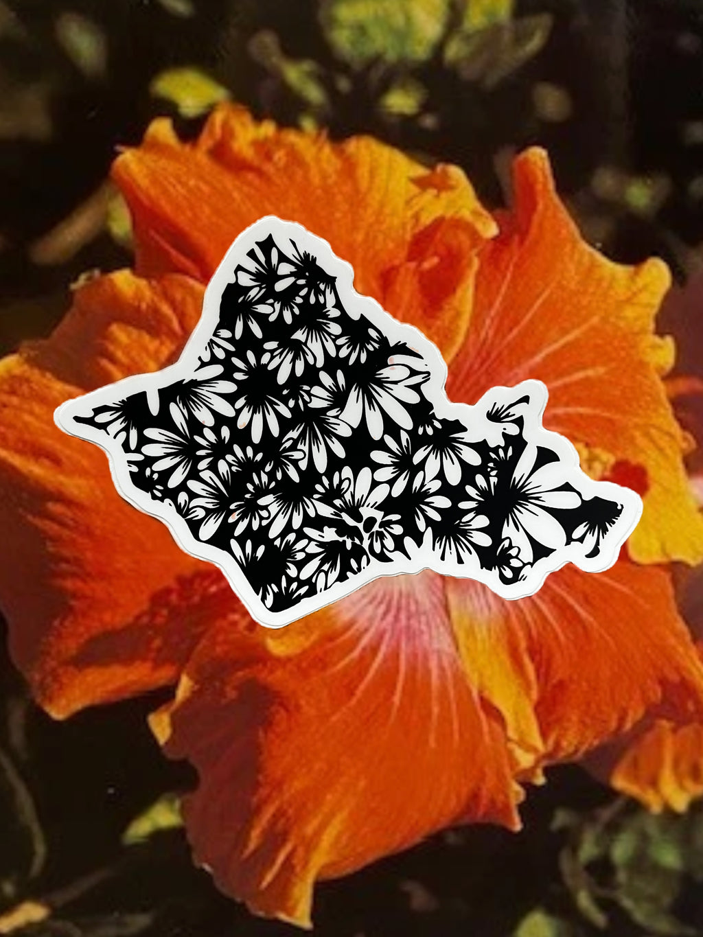 Sunny Weeks "Oahu" Sticker