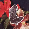 Sunny Weeks Wahine 'Io Sticker