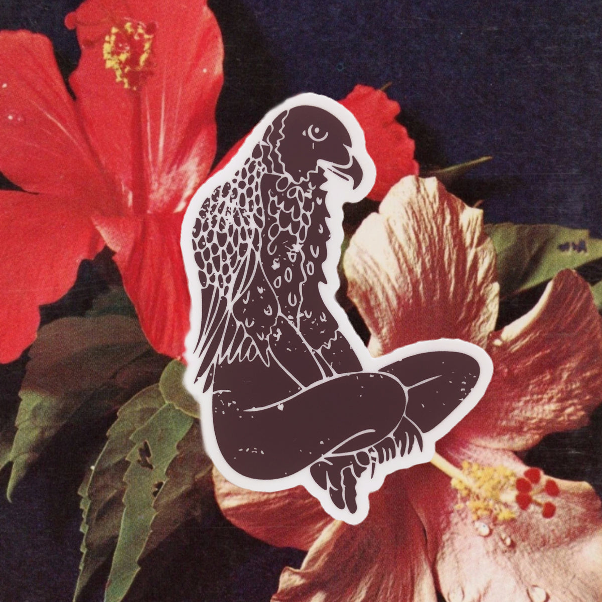 Sunny Weeks Wahine 'Io Sticker