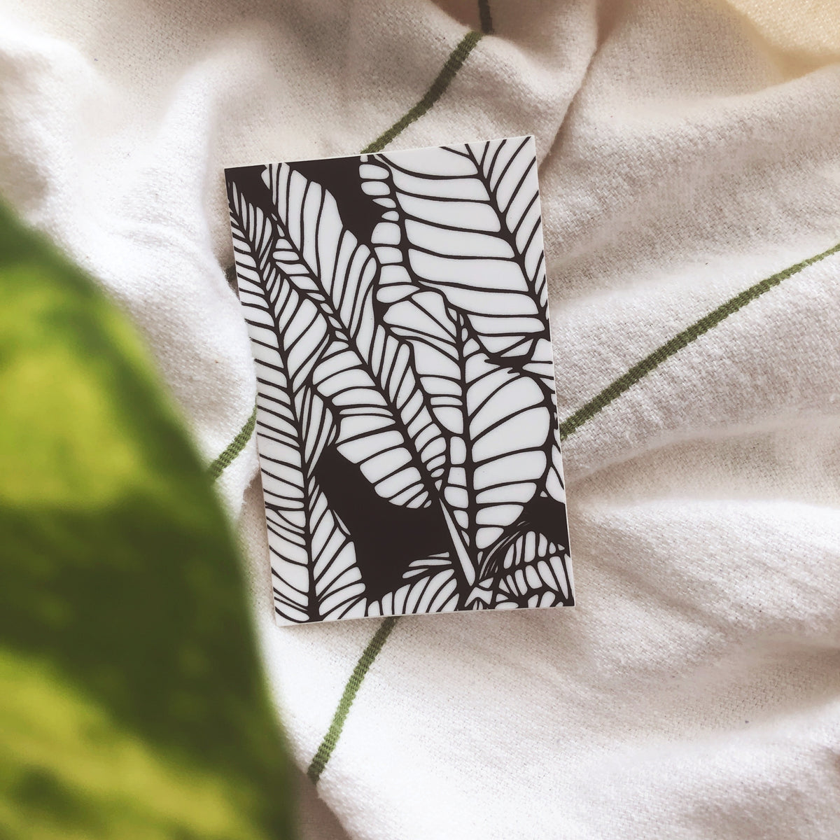 Sunny Weeks "Banana Shade" Sticker