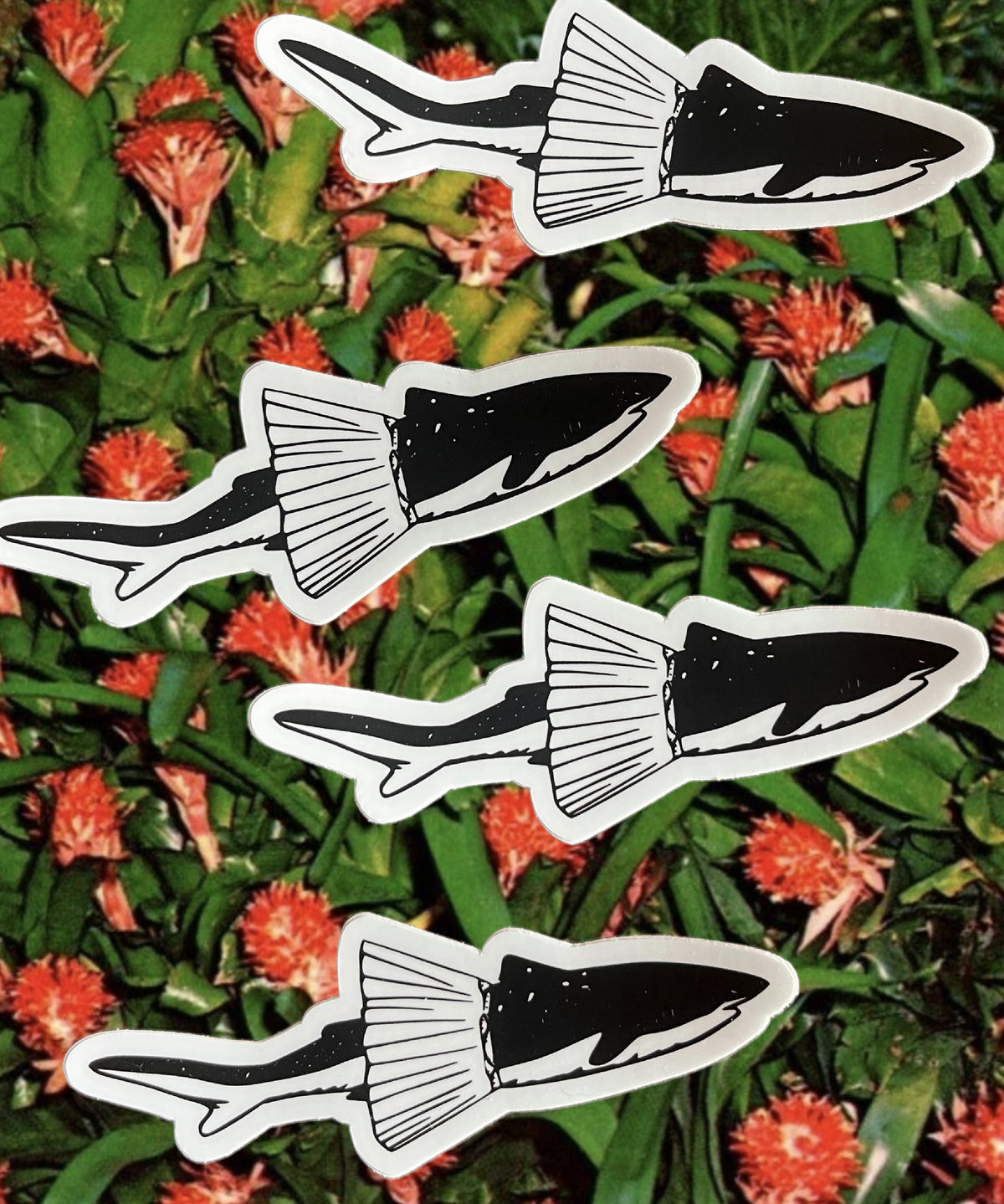 Sunny Weeks Mini "Tutu Shark" Sticker