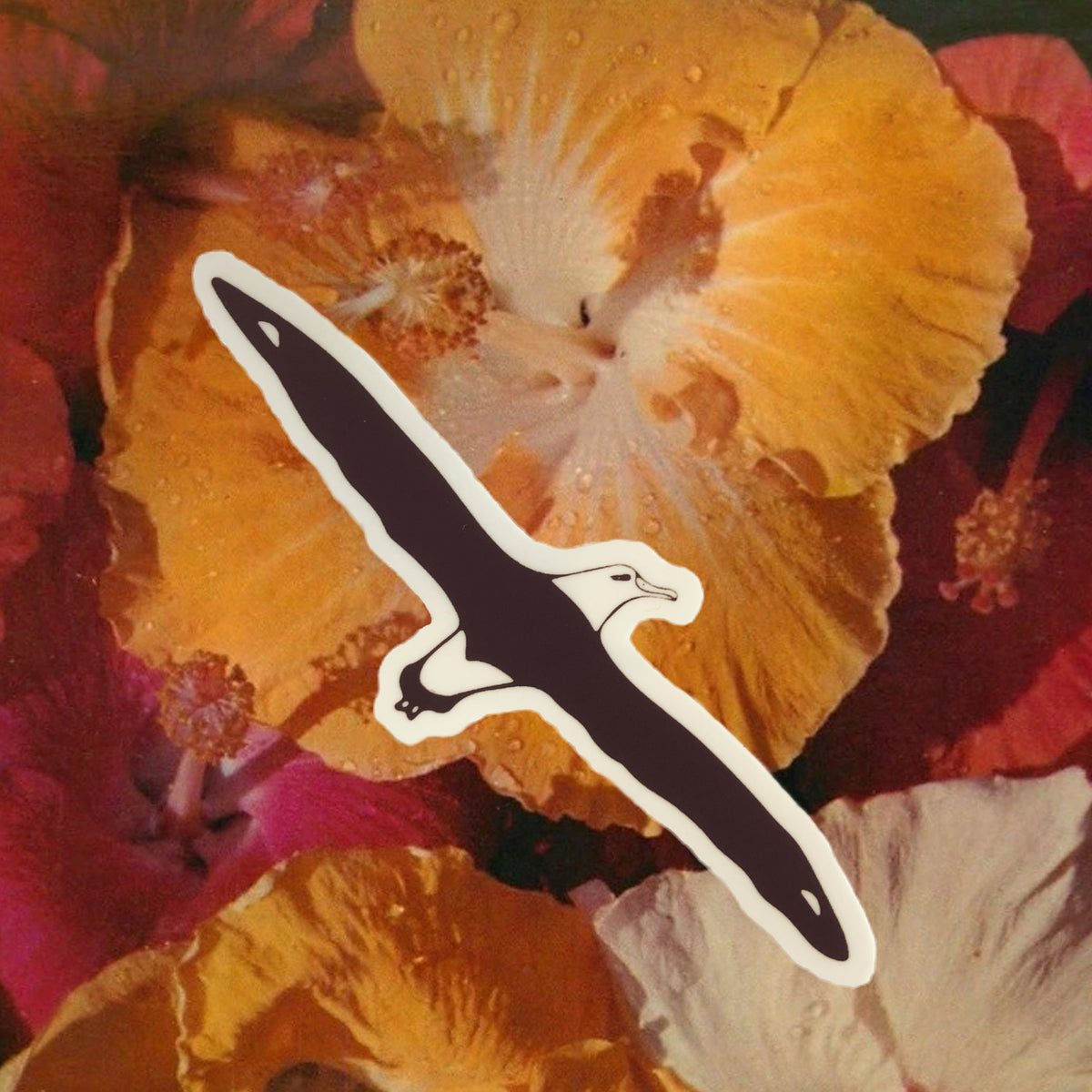 Sunny Weeks "Albatross Flight" Sticker