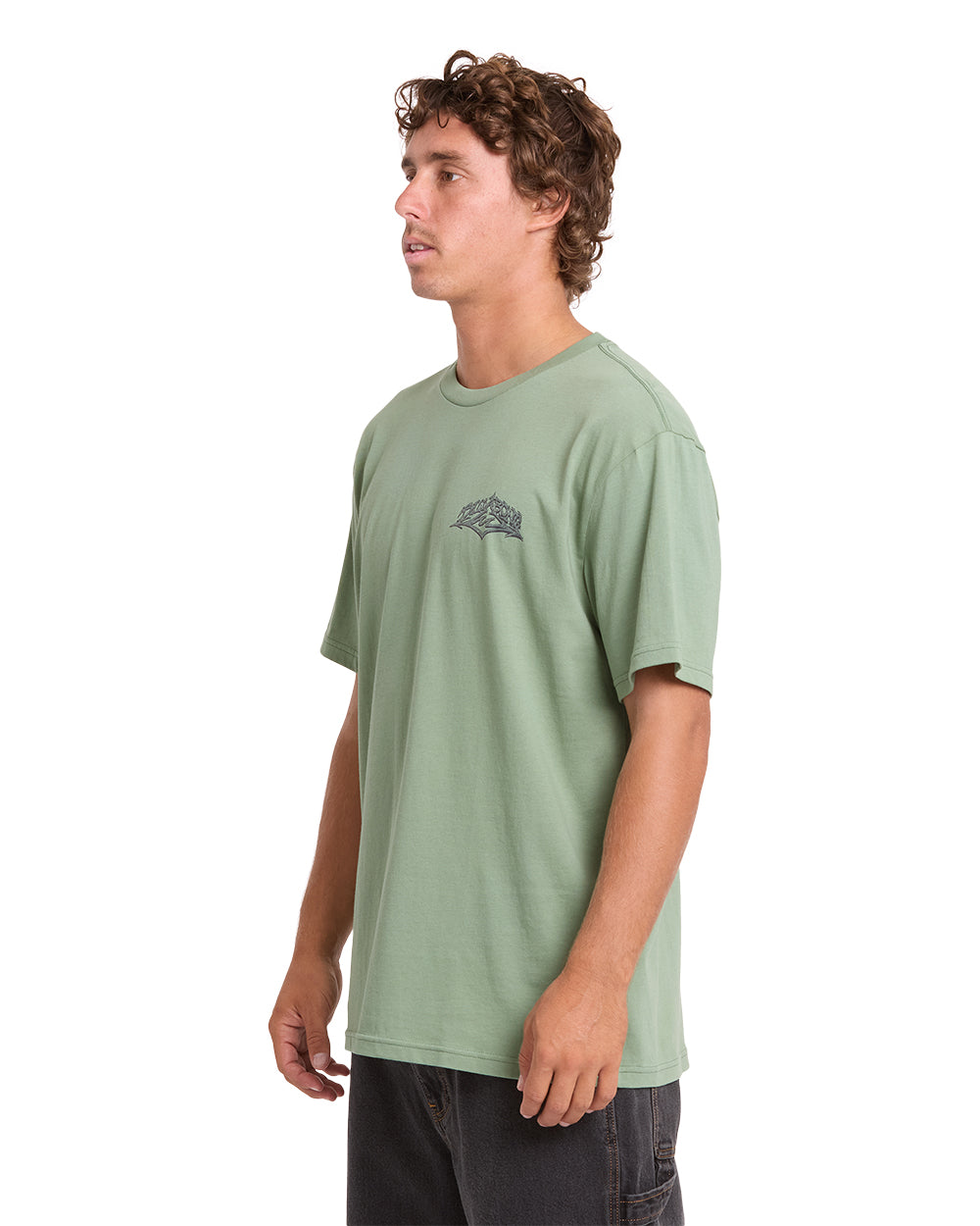 Billabong Reverse Premium SS T-Shirt Hedge Green