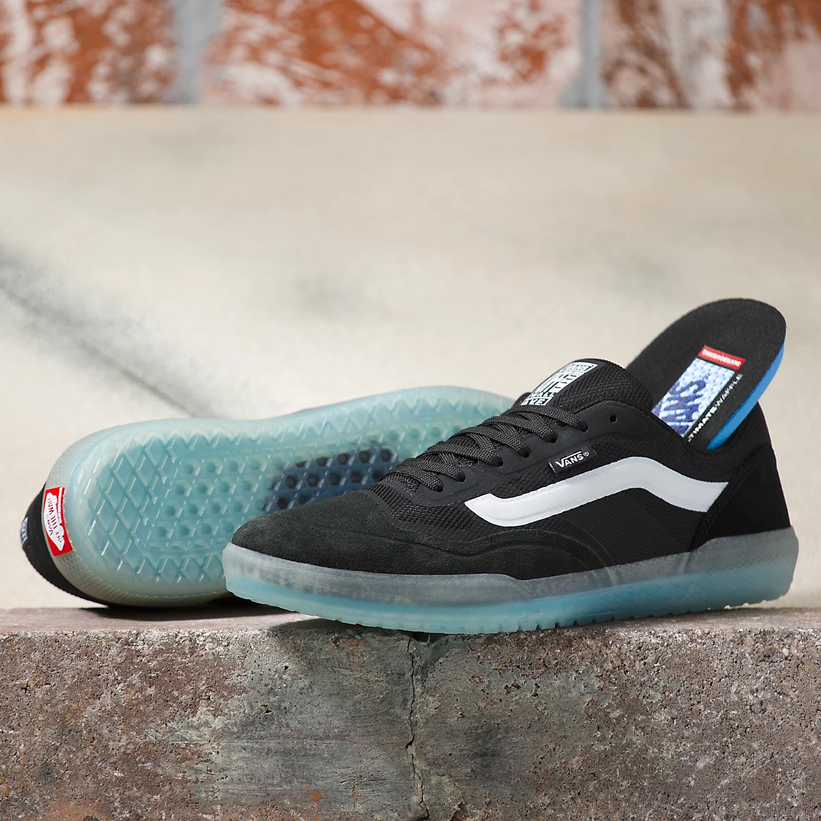 Vans Ave Skate Shoe Black