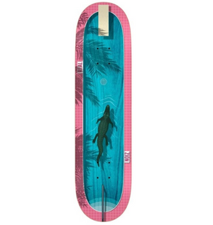 Real Wright Dive In 8.5 Deck Blue/Pink